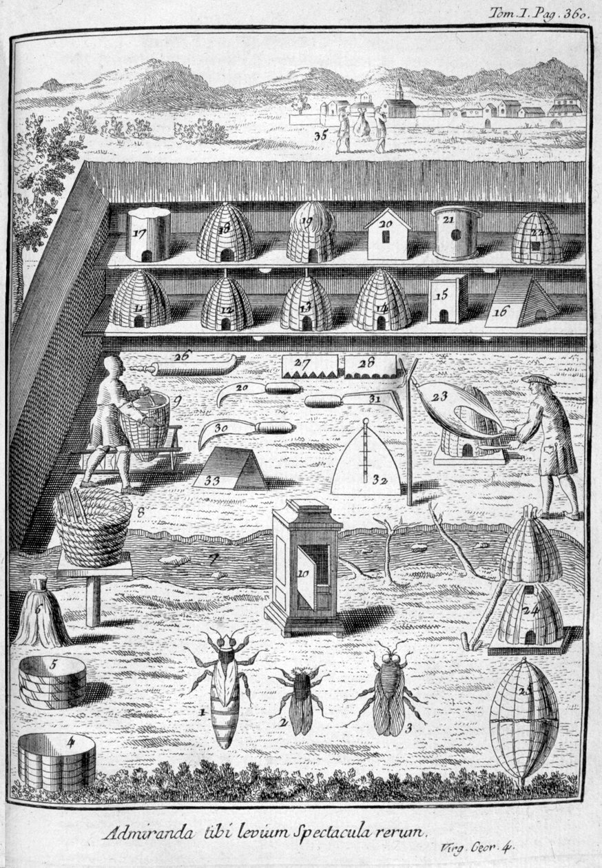 Bijenteelt, 1775 door Unbekannt