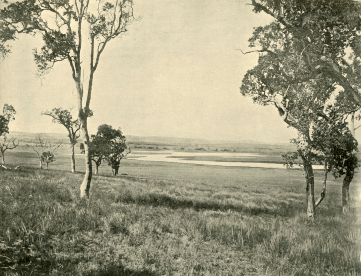 Black Swan Lagoon, nabij Warwick, Queensland, 1901 door Unbekannt