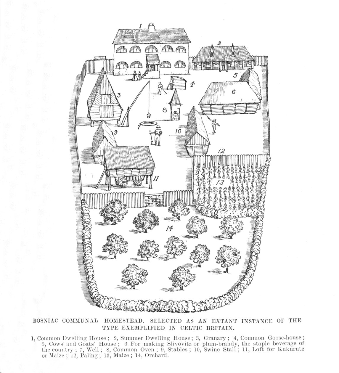 Bosnische Gemeenschappelijke Woning, 1902 door Unbekannt