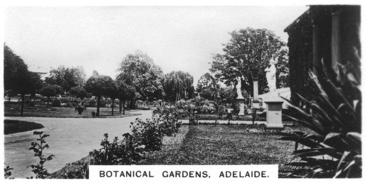 Botanische tuinen, Adelaide, Australië, 1928 door Unbekannt