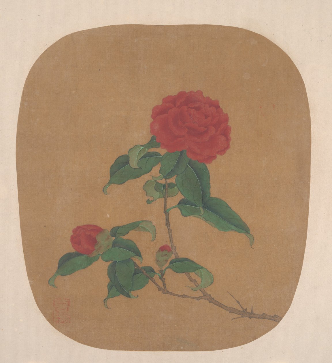 Camellia Bloemen door Unbekannt