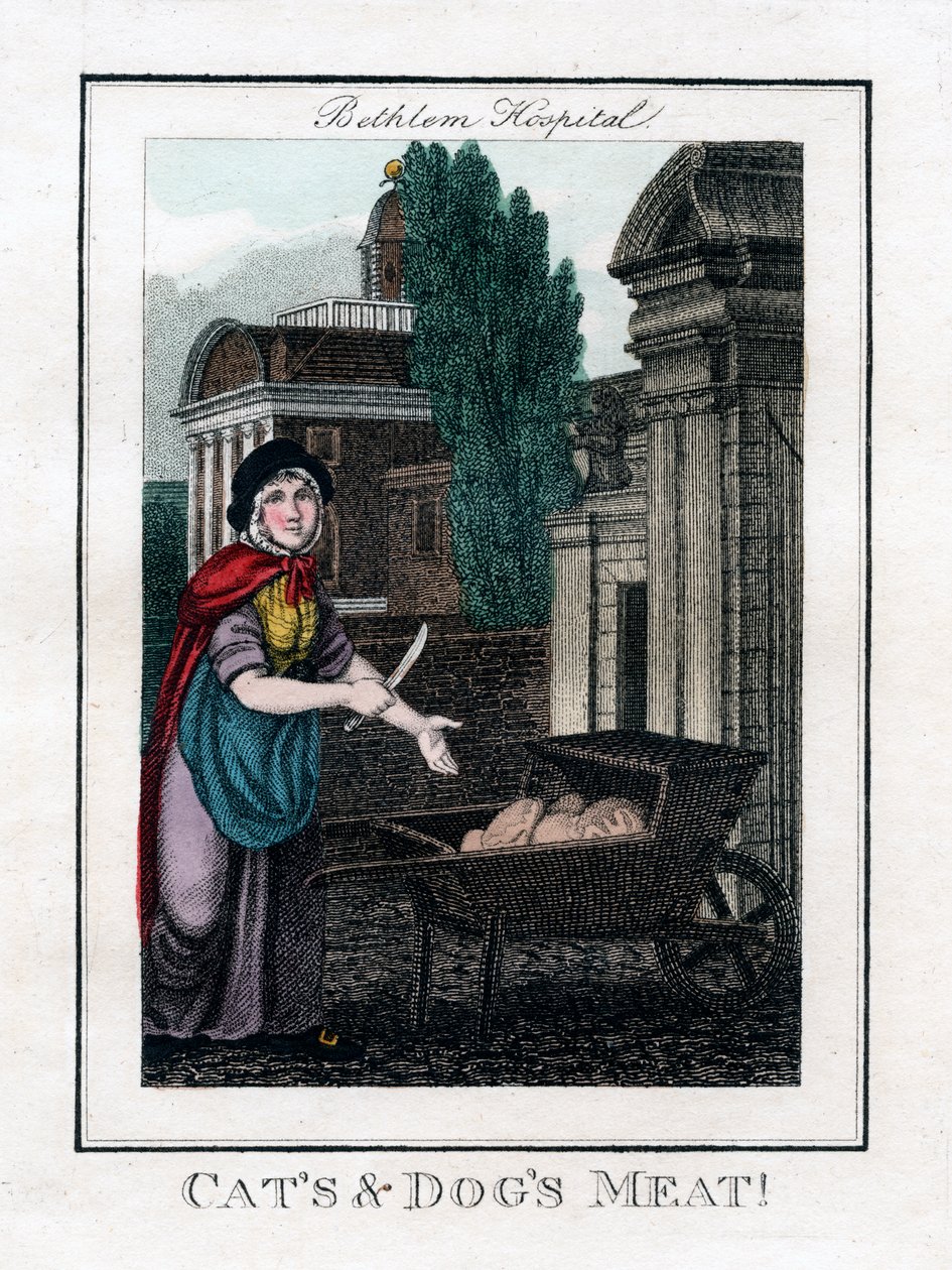 Katten- en hondenvlees!, Bethlem Hospital, Londen, 1805 door Unbekannt