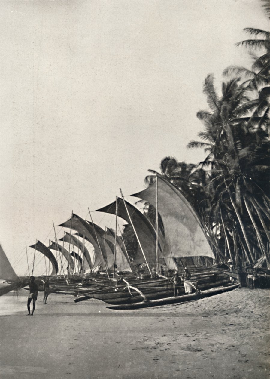 Ceylonese Zeilvissersboten met Uitloper, 1926 door Unbekannt