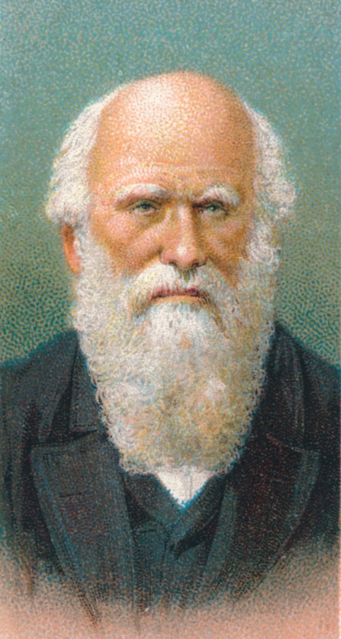 Charles Darwin, Britse natuuronderzoeker door Unbekannt