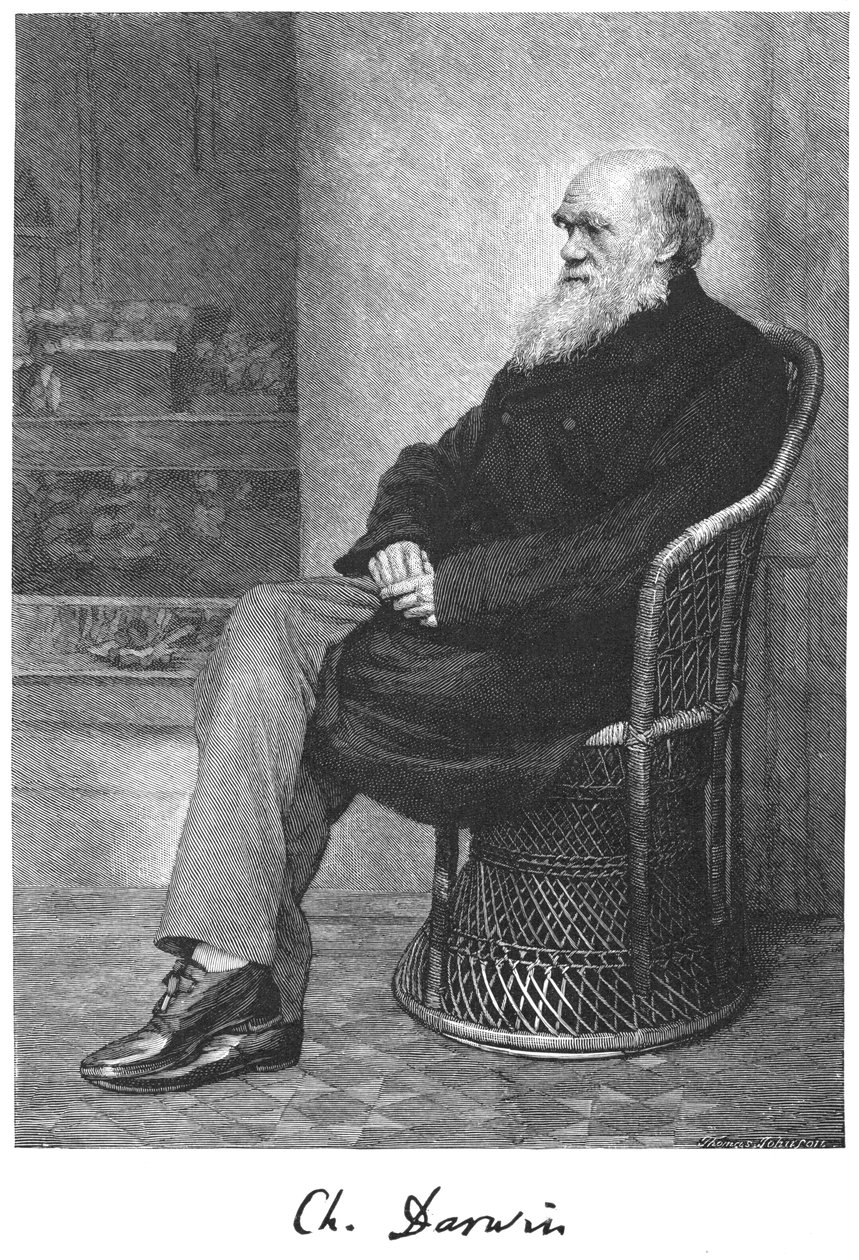 Charles Darwin, Engelse natuuronderzoeker door Unbekannt