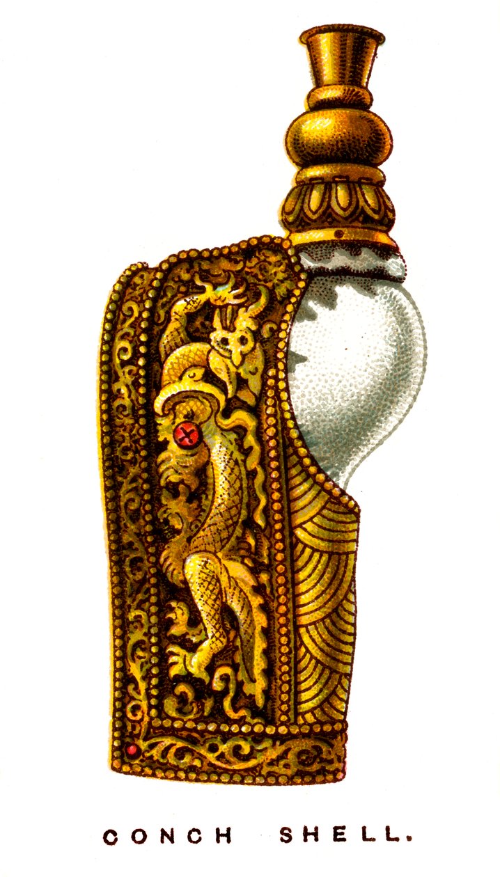 Schelp, 1923 door Unbekannt