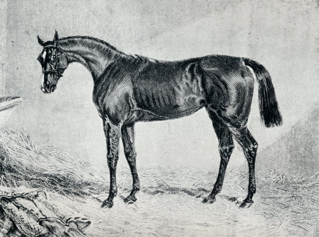 Cyprianus, 19e eeuw, 1911 door Unbekannt