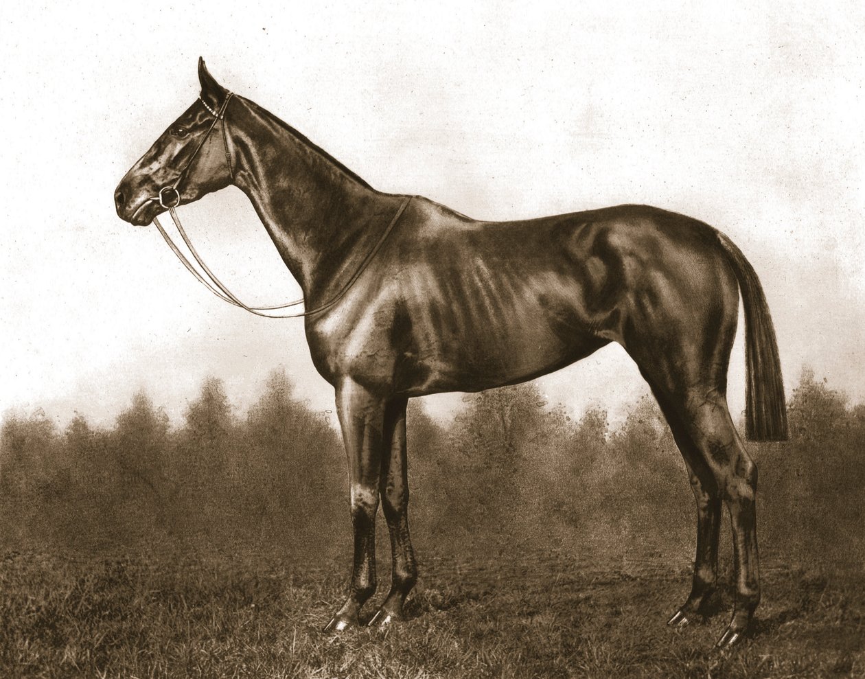 Verlegen, 1911 door Unbekannt
