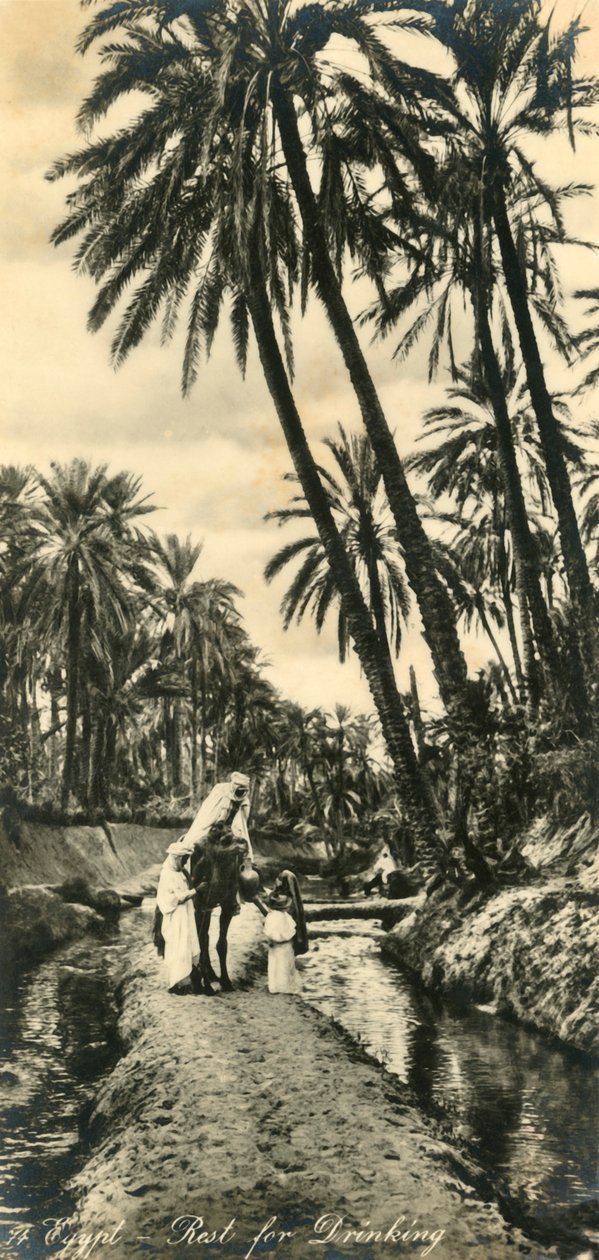 Egypte - Rust voor drinken, ca. 1918-ca. 1939 door Unbekannt