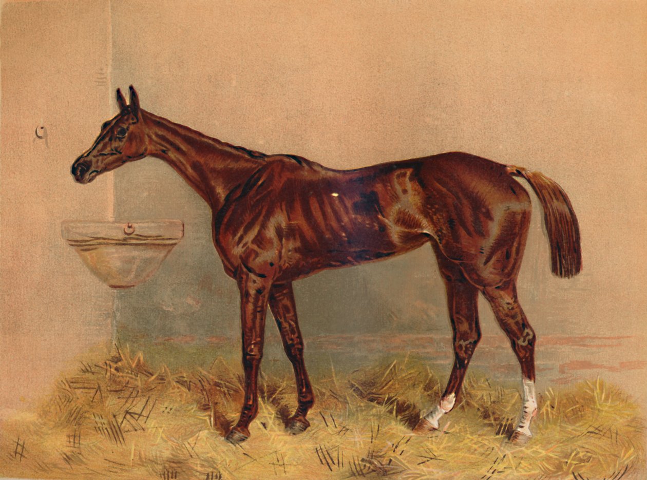 Embleem, Steeplechase Merrie, ca. 1879 door Unbekannt