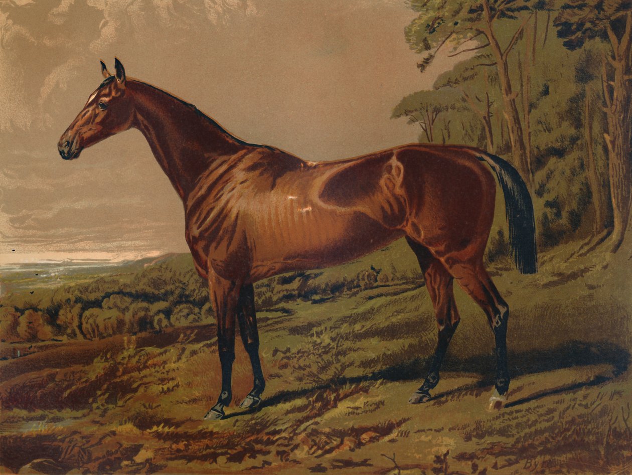 Fair Nell, ca. 1879 door Unbekannt