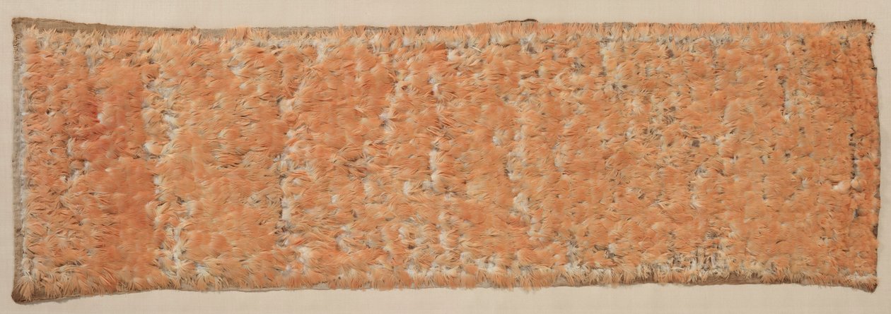 Gevederd paneel, 600-1500 door Unbekannt