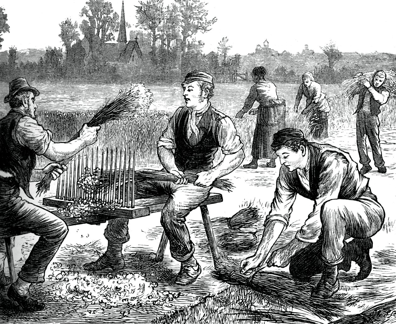 Vlas rimpelen, ca. 1880 door Unbekannt