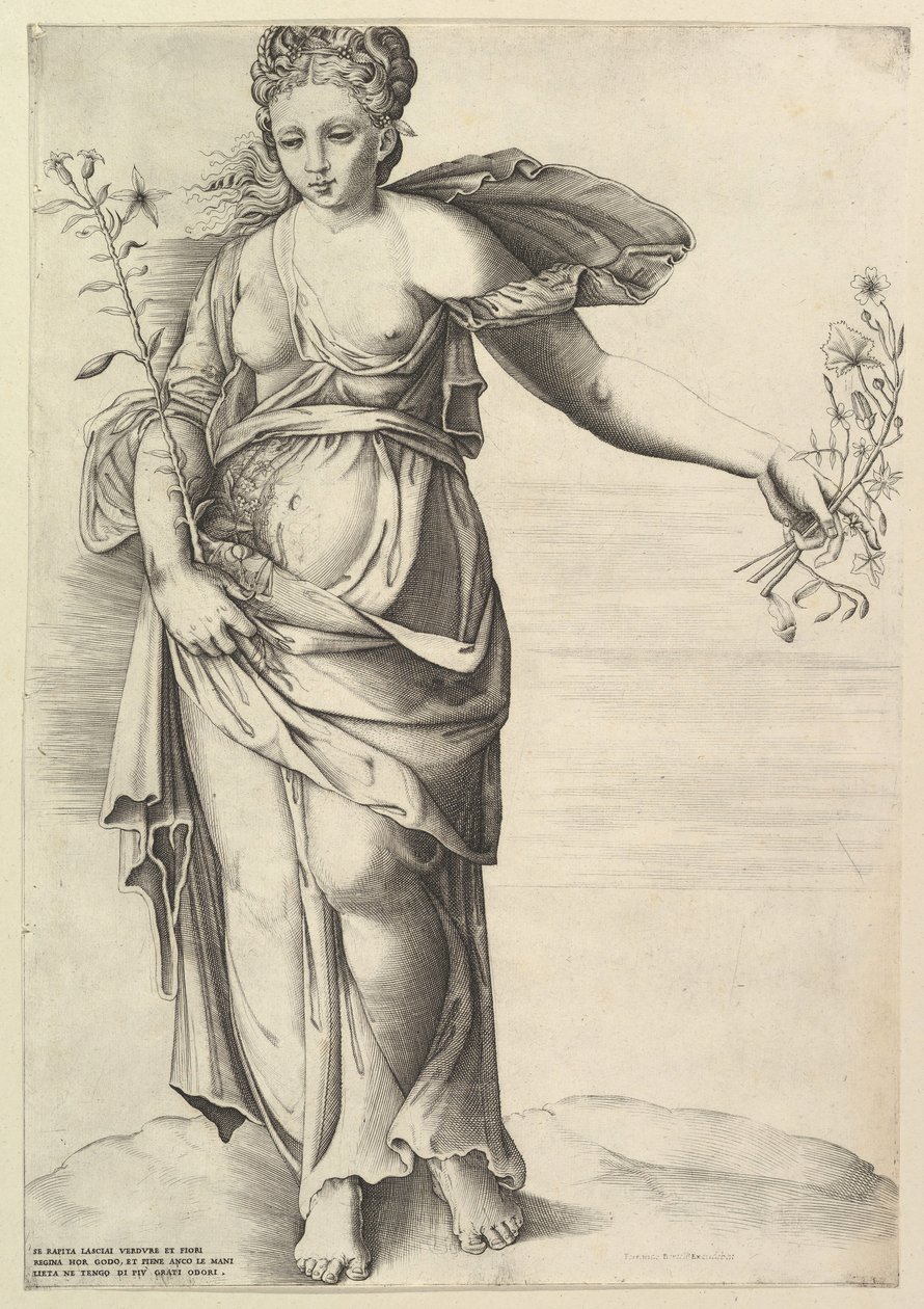 Flora door Unbekannt