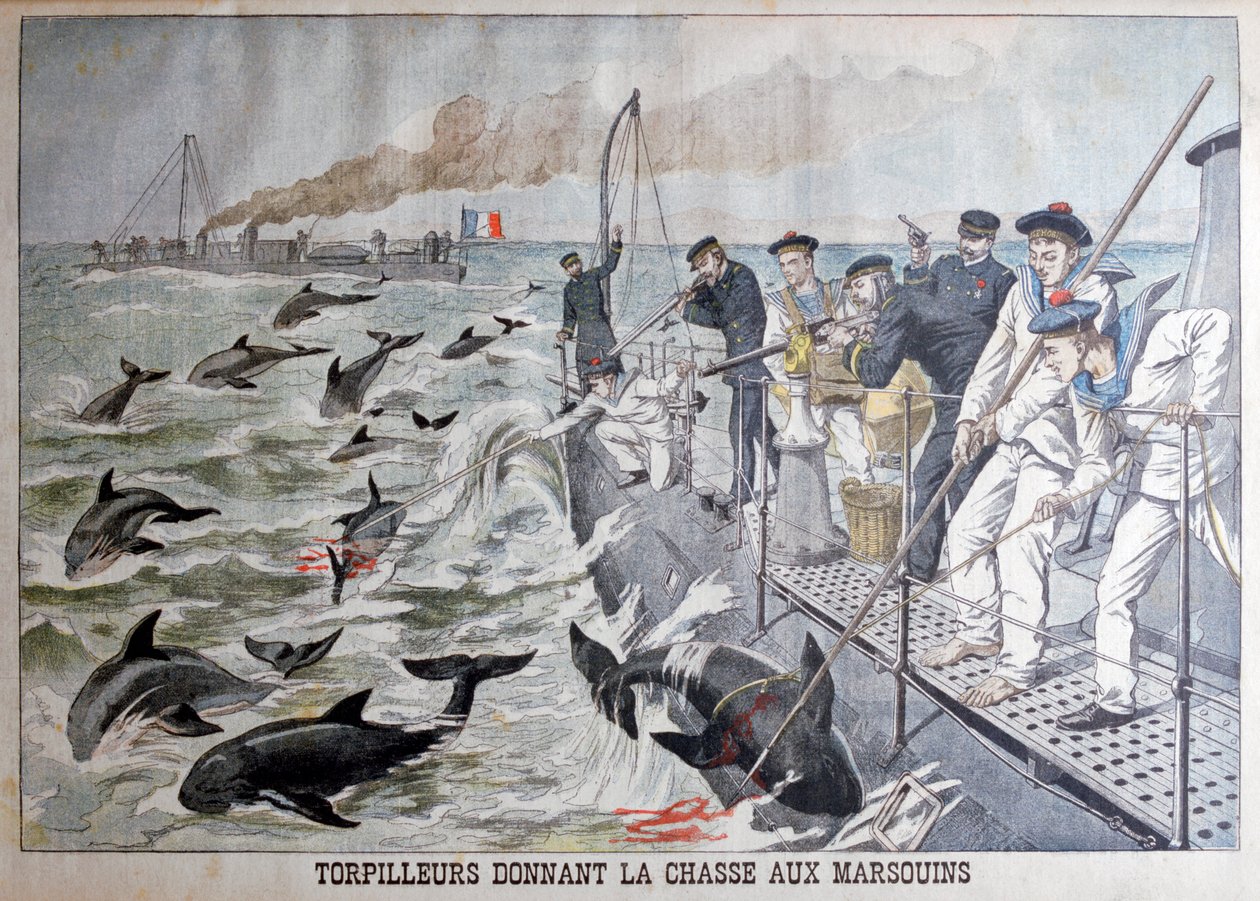 Franse torpedoboten jagen op bruinvissen, 1903 door Unbekannt