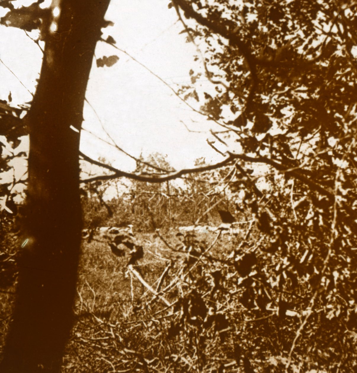 Duitse loopgraven, ca. 1914-1918 door Unbekannt