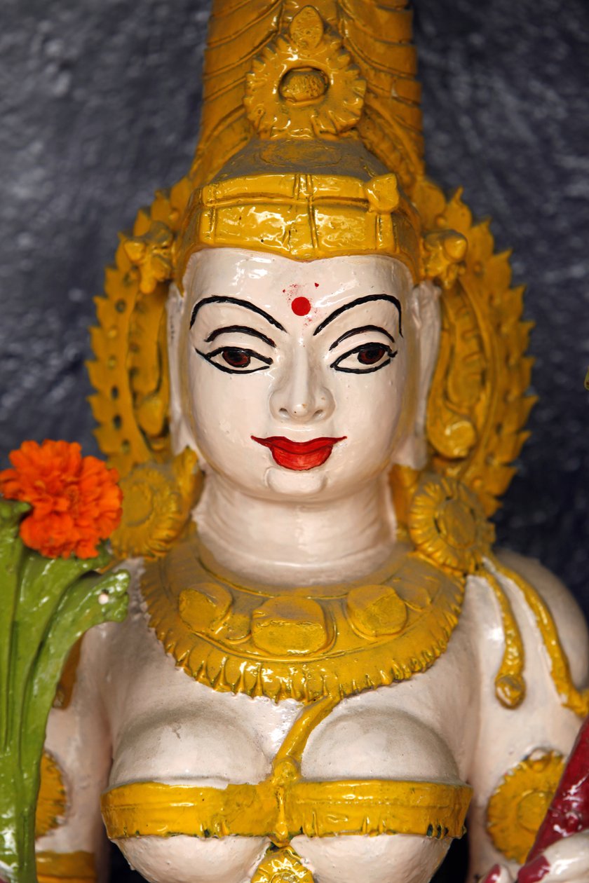 Beeld van een godin in een tempel in Haridwar, India door Unbekannt