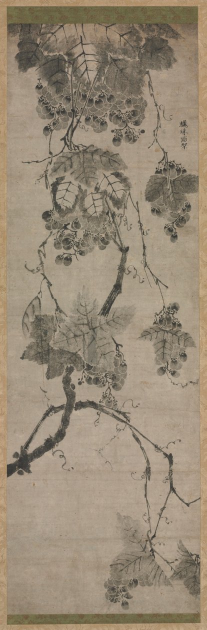 Druiven, 1700s door Unbekannt