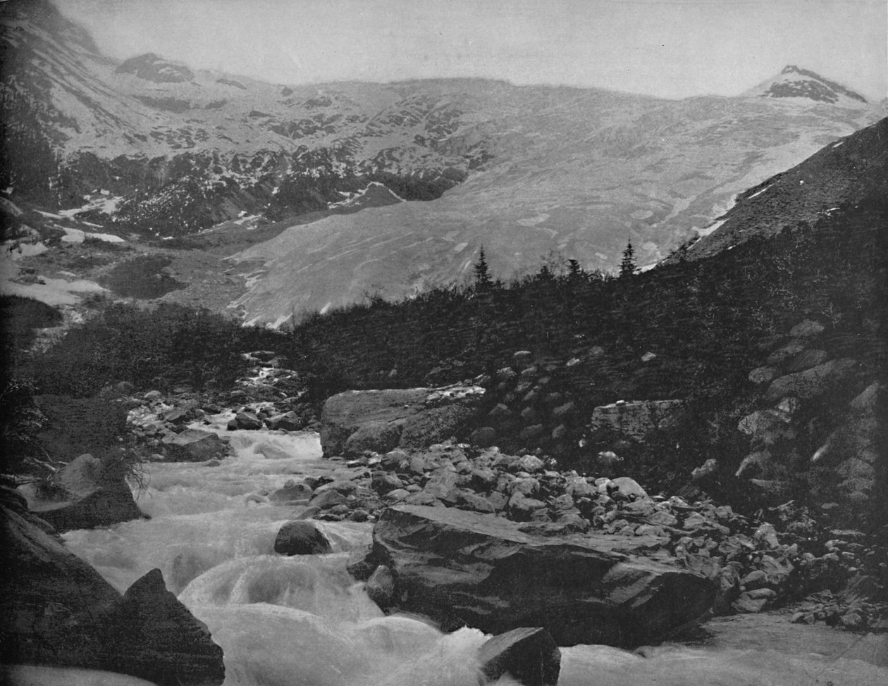 Grote gletsjer, Selkirk Mountains, Canada door Unbekannt