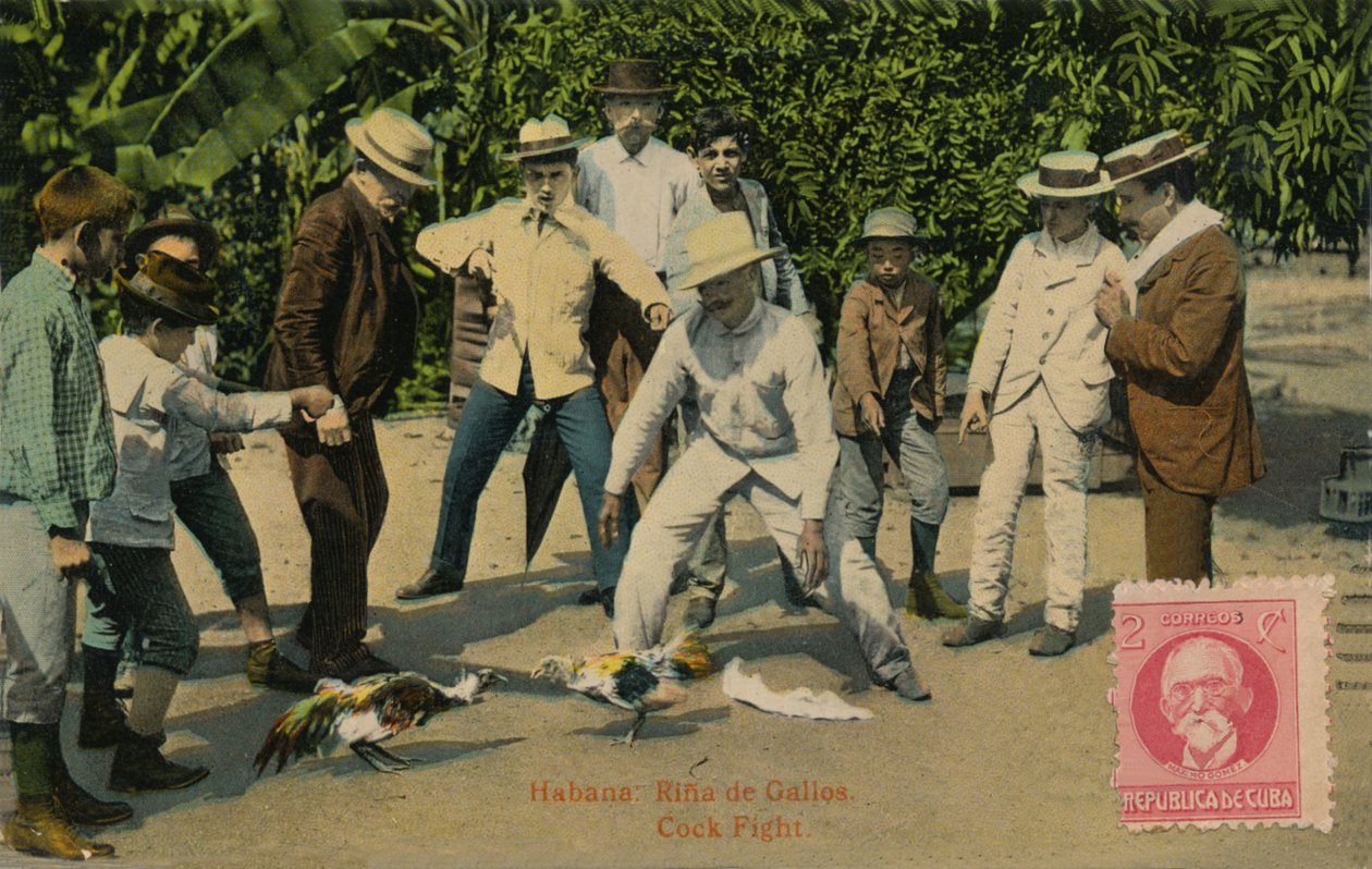 Habana: Rina de Gallos. Hanengevecht, 1918 door Unbekannt
