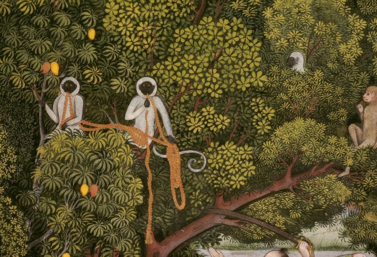 Hanuman-Langoeren Indiase miniatuur door Unbekannt