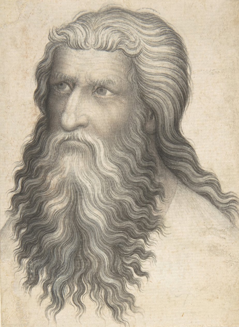 Hoofd van een Bebaarde Man, 1360-80 door Unbekannt