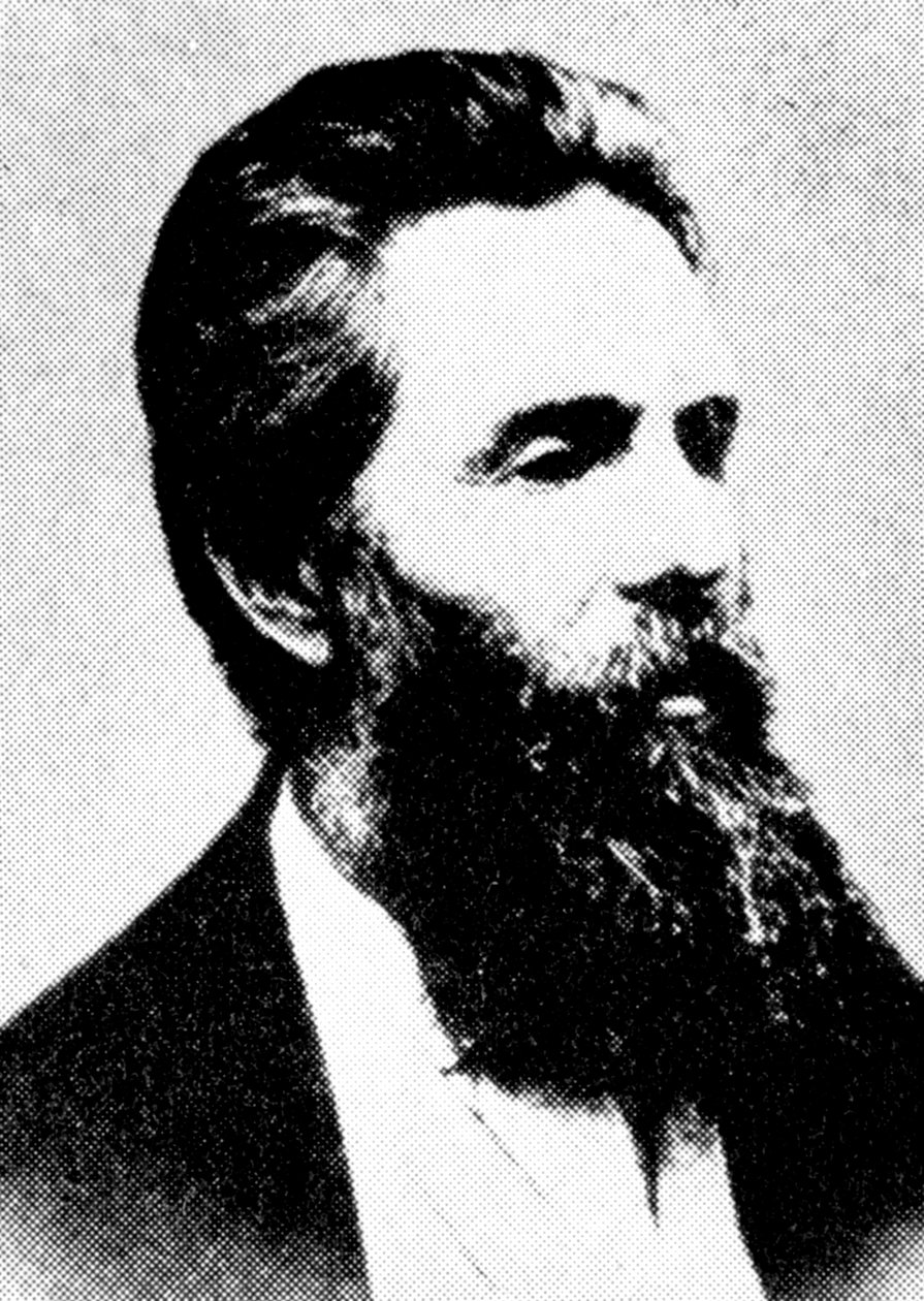 Herman Melville, Amerikaanse auteur, 19e eeuw door Unbekannt