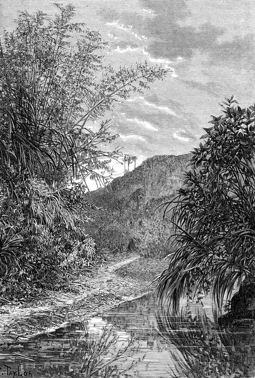 Hooglandlandschap, Formosa, ca. 1890 door Unbekannt