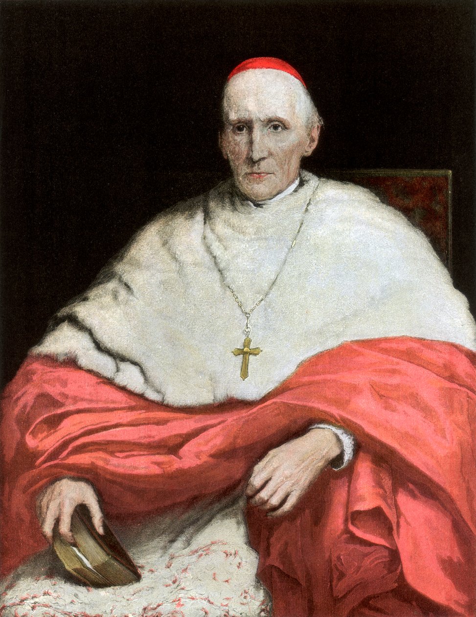 Zijne Eminentie Kardinaal Manning, 1889 door Unbekannt