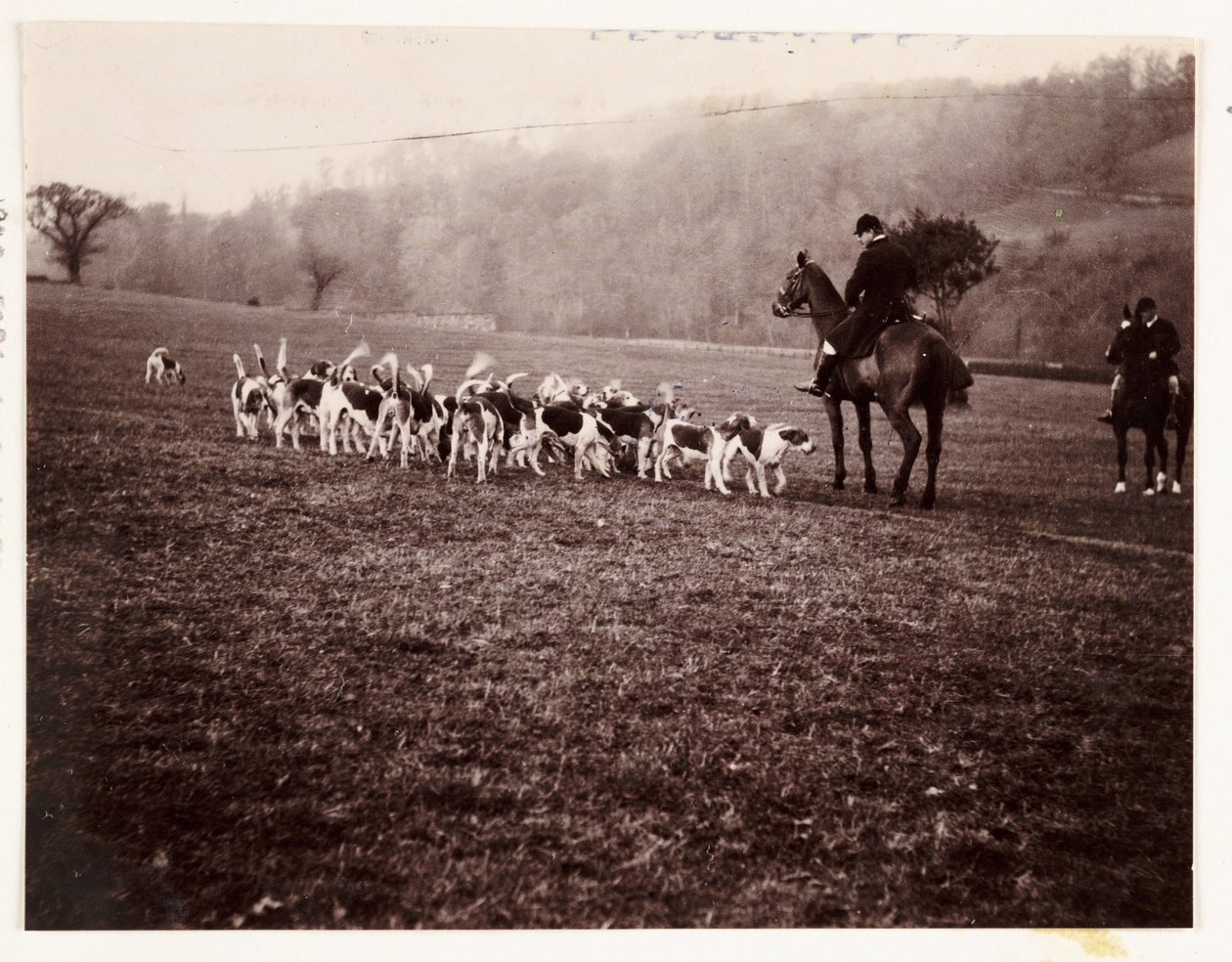 Jager en honden, ca. 1905 door Unbekannt