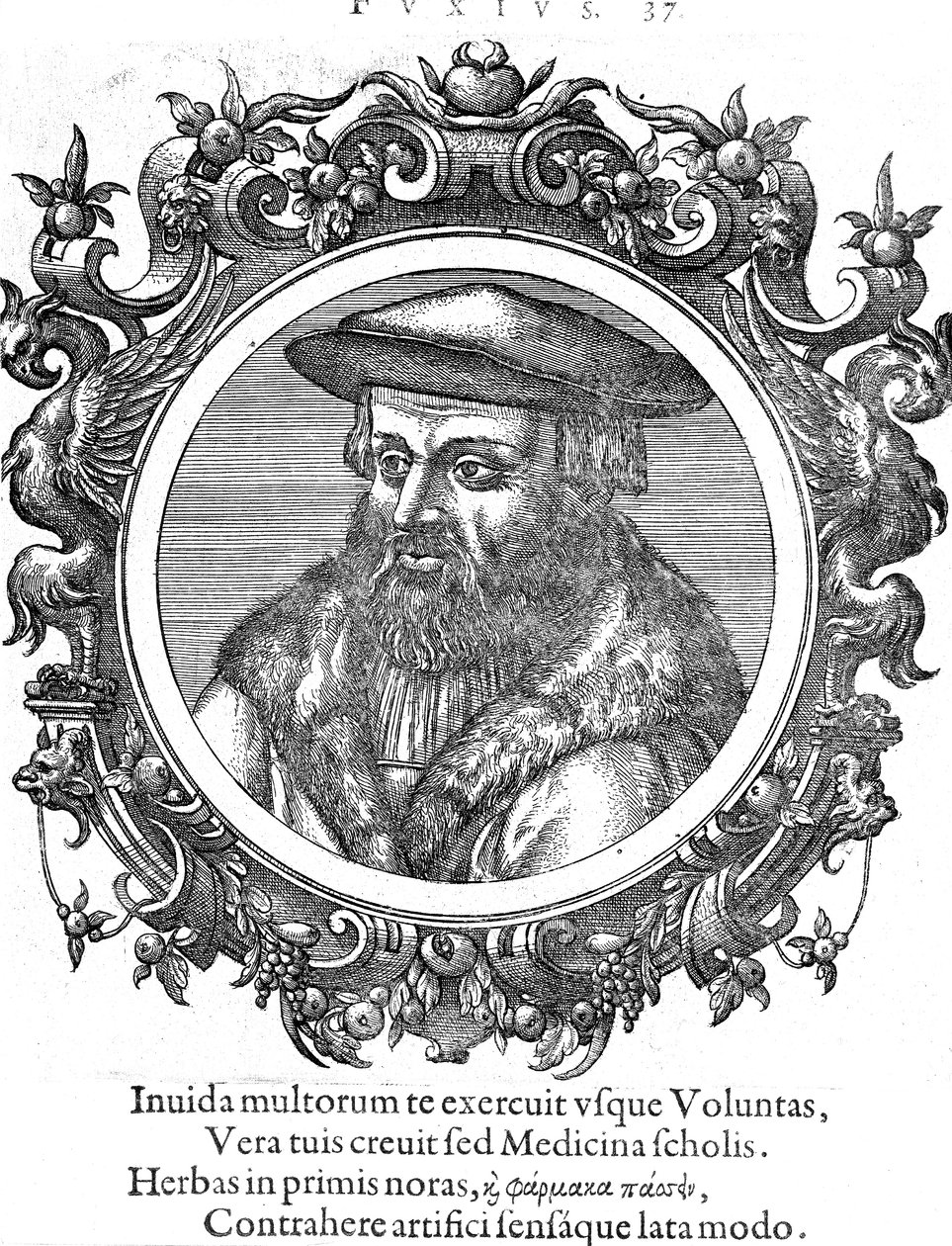 Leonhard Fuchs, Duitse botanicus en arts door Unbekannt