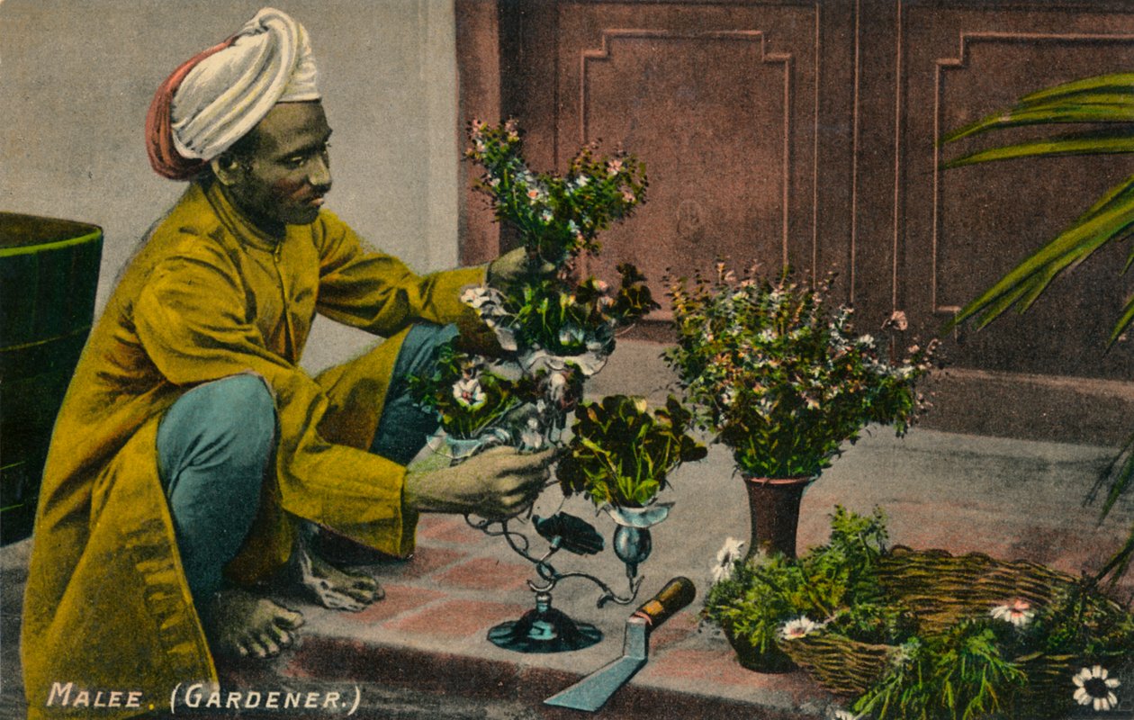 Malee Tuinier, c1900 door Unbekannt