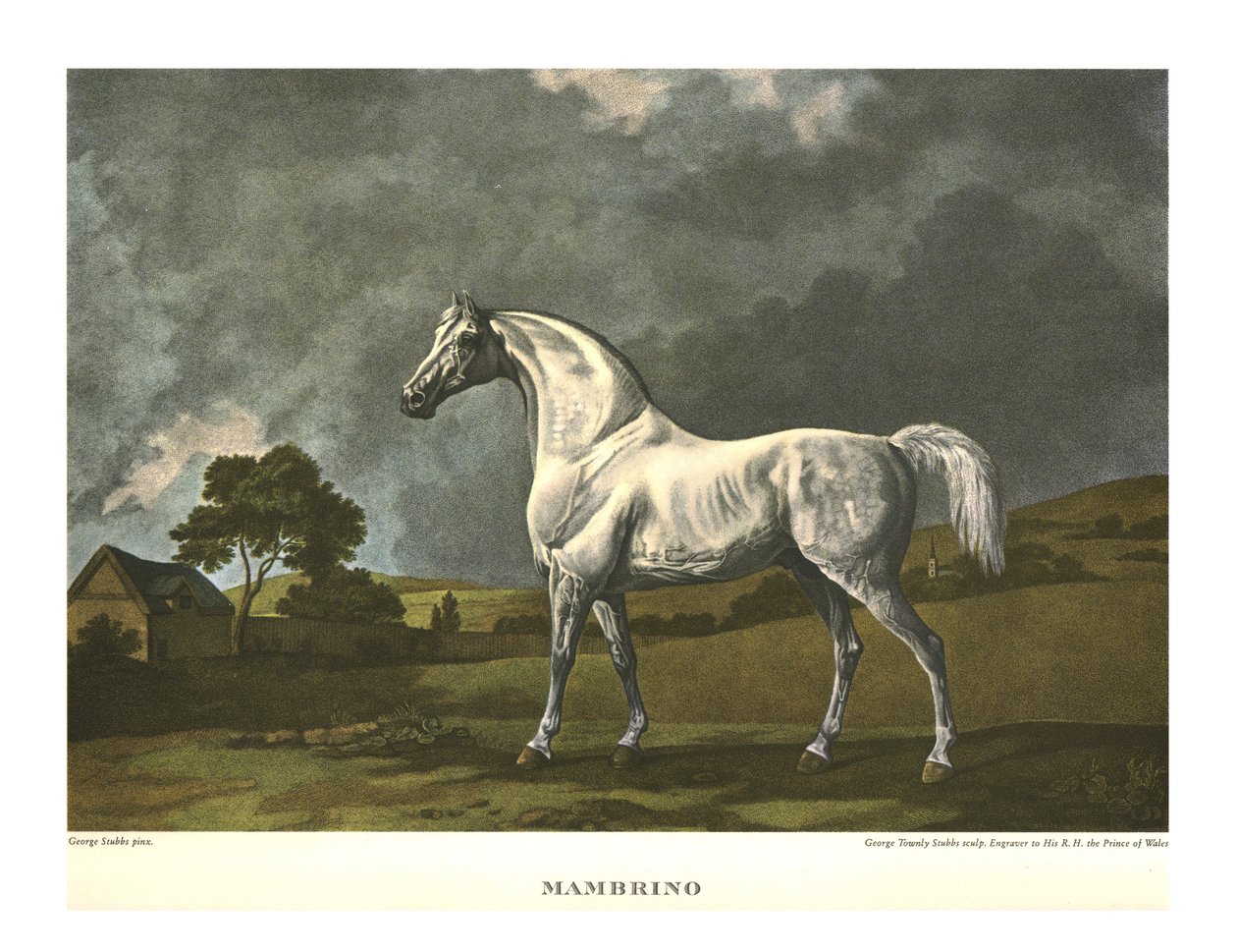 Mambrino, ca. 1779, ca. 1955 door Unbekannt