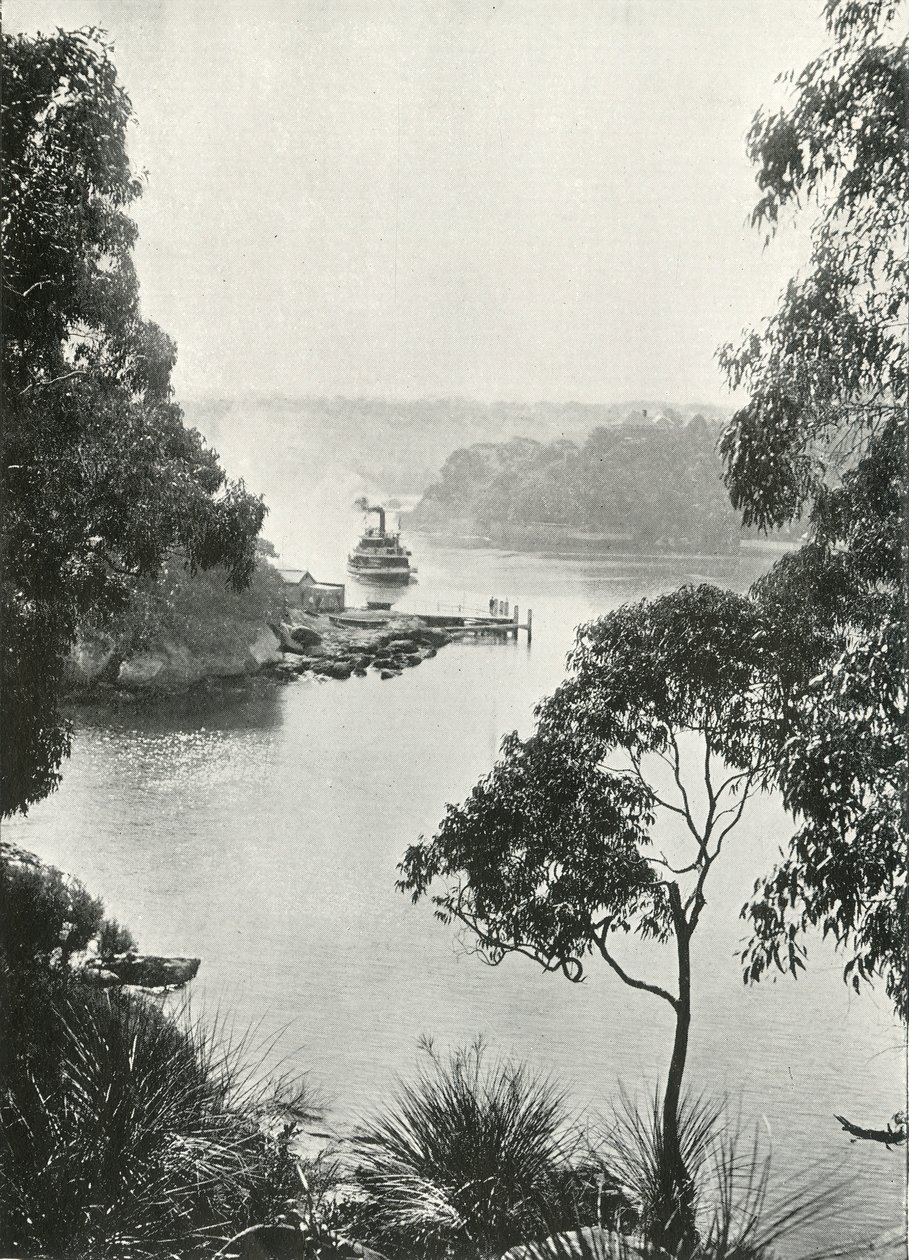 Mosmans Bay, vanaf Cremorne Jetty door Unbekannt