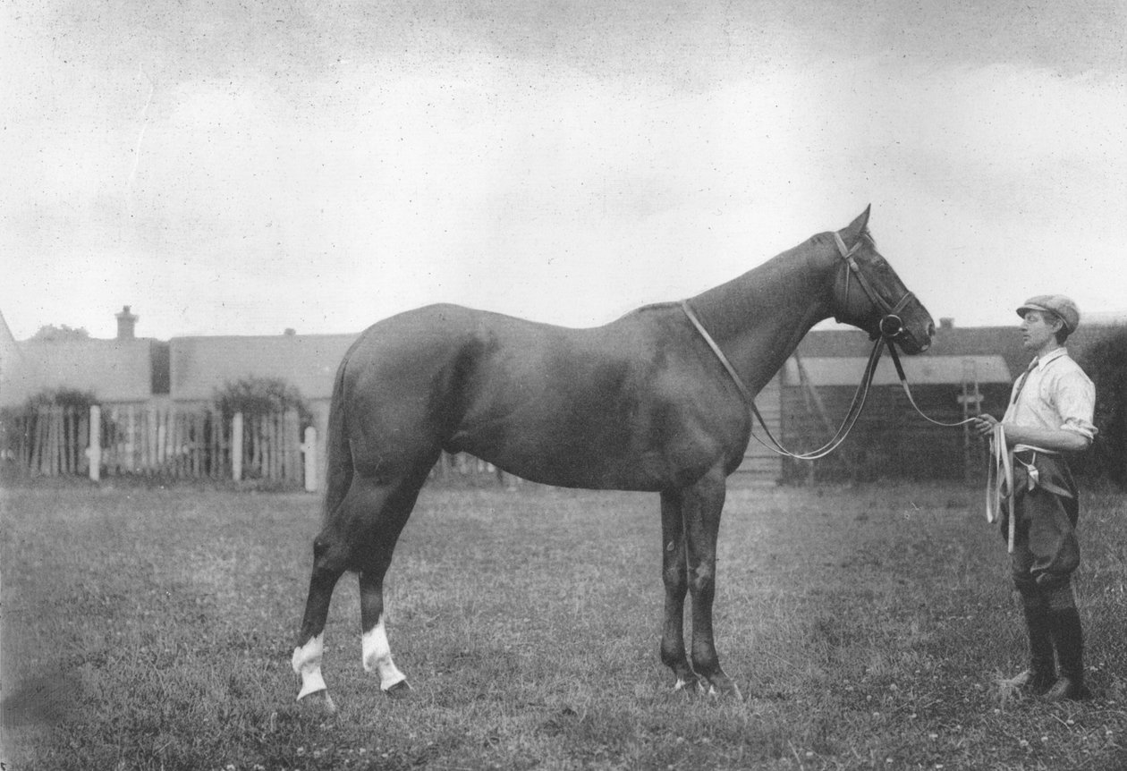 Mount Prospects Fortune, 1911 door Unbekannt