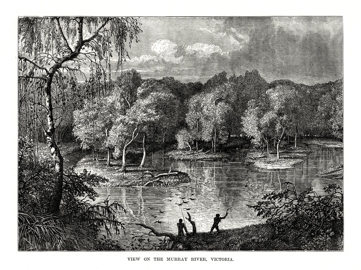 Murray River, Victoria, Australië door Unbekannt