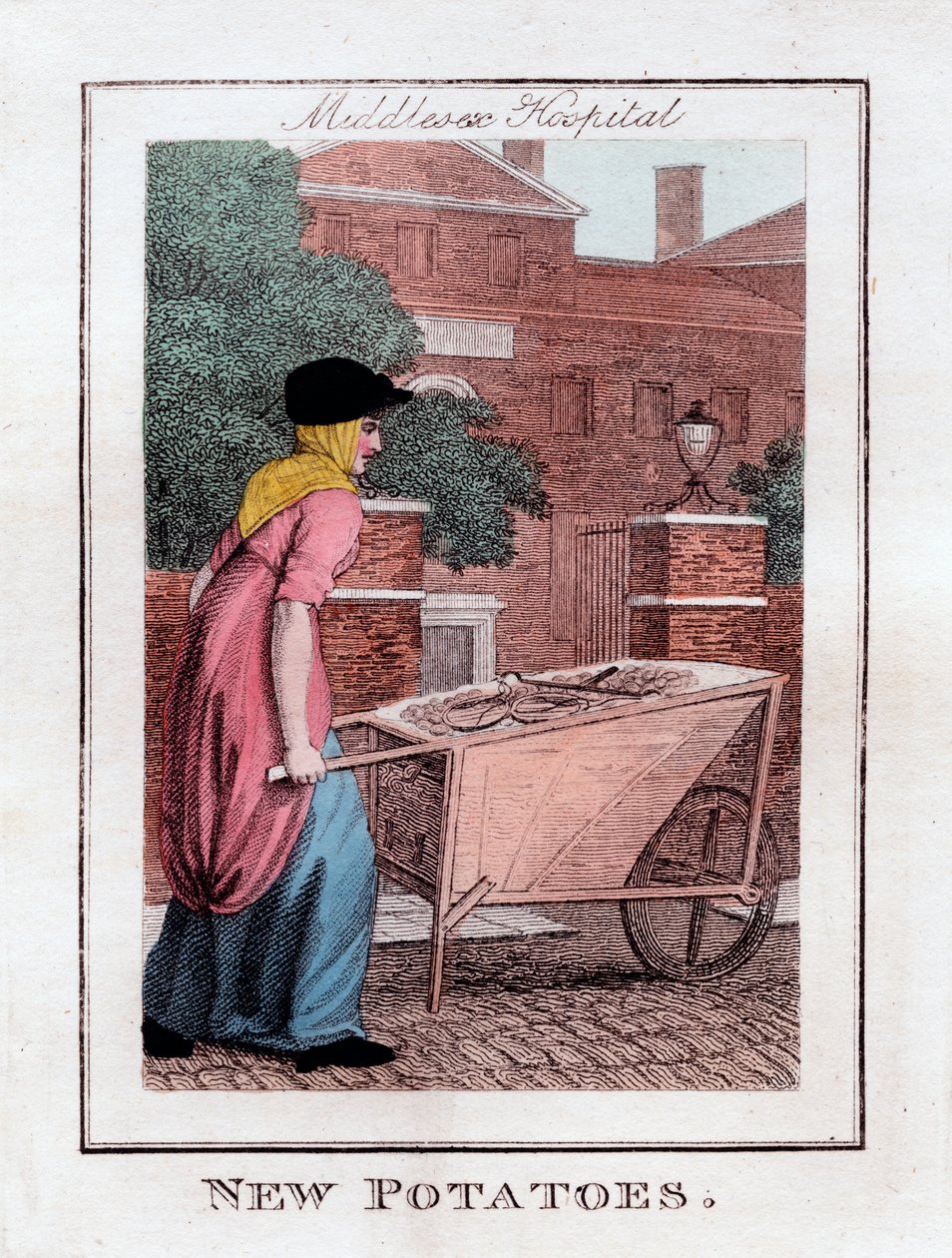 Nieuwe Aardappelen, Middlesex Ziekenhuis, Londen, 1805 door Unbekannt