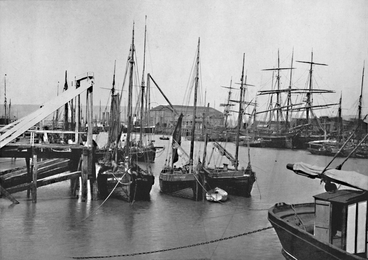Newhaven - In de Haven, 1895 door Unbekannt