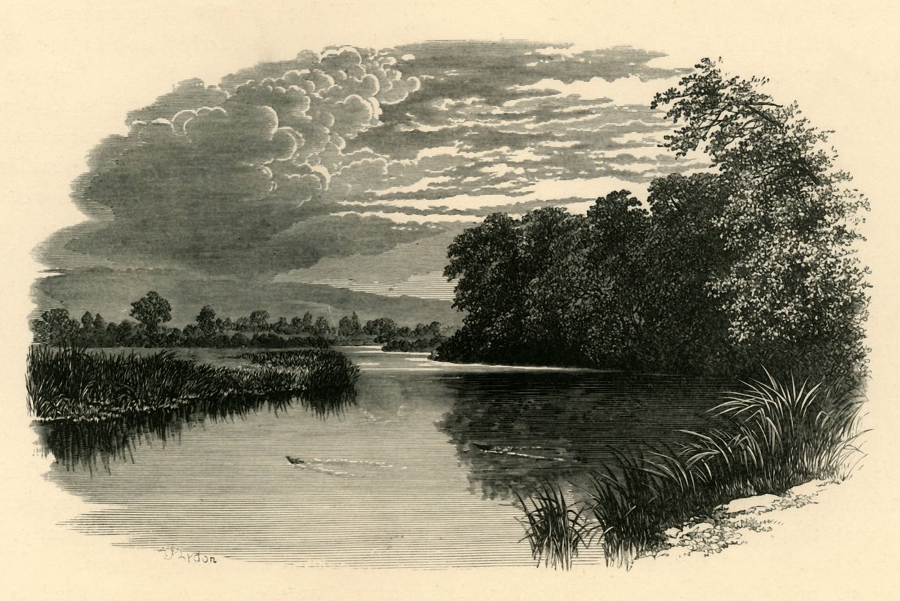 Op de Avon. Strensham Reach, ca. 1890 door Unbekannt