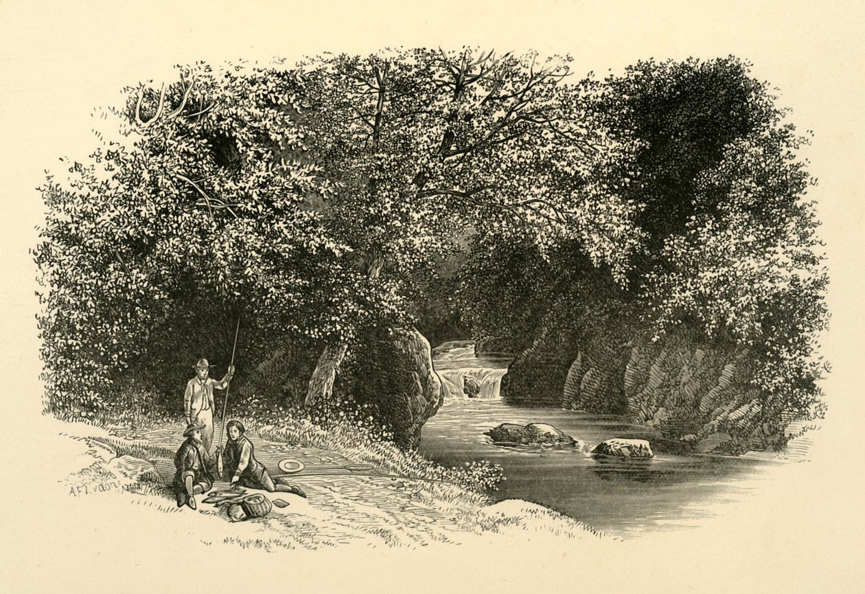 Aan de Dargle, ca. 1890 door Unbekannt