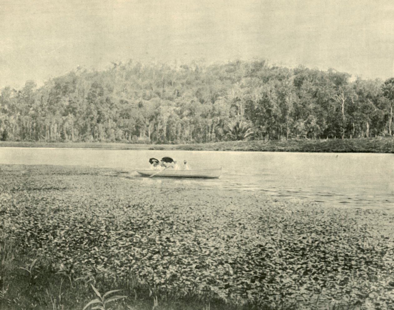 Op het Enoggera Meer, 1901 door Unbekannt