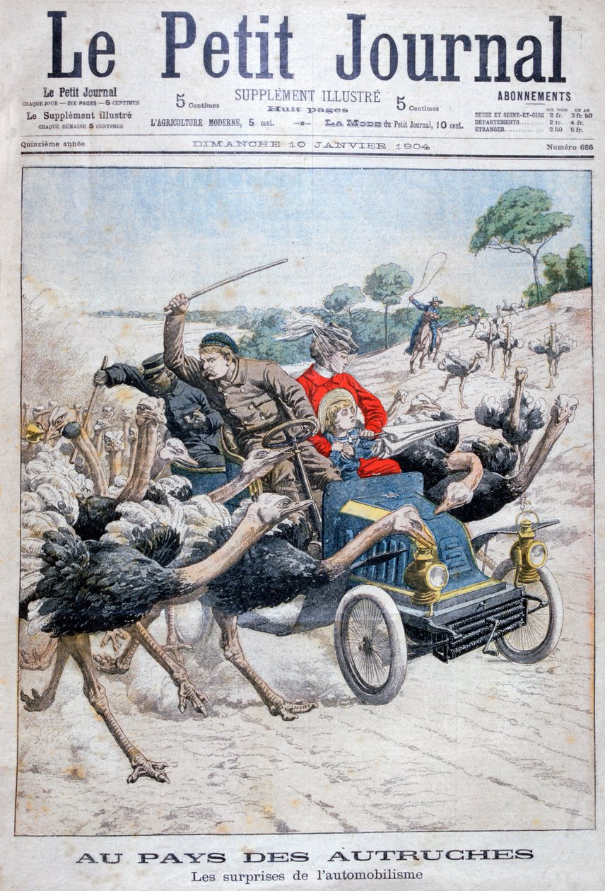 Struisvogels die een auto aanvallen, Californië, VS, 1904 door Unbekannt