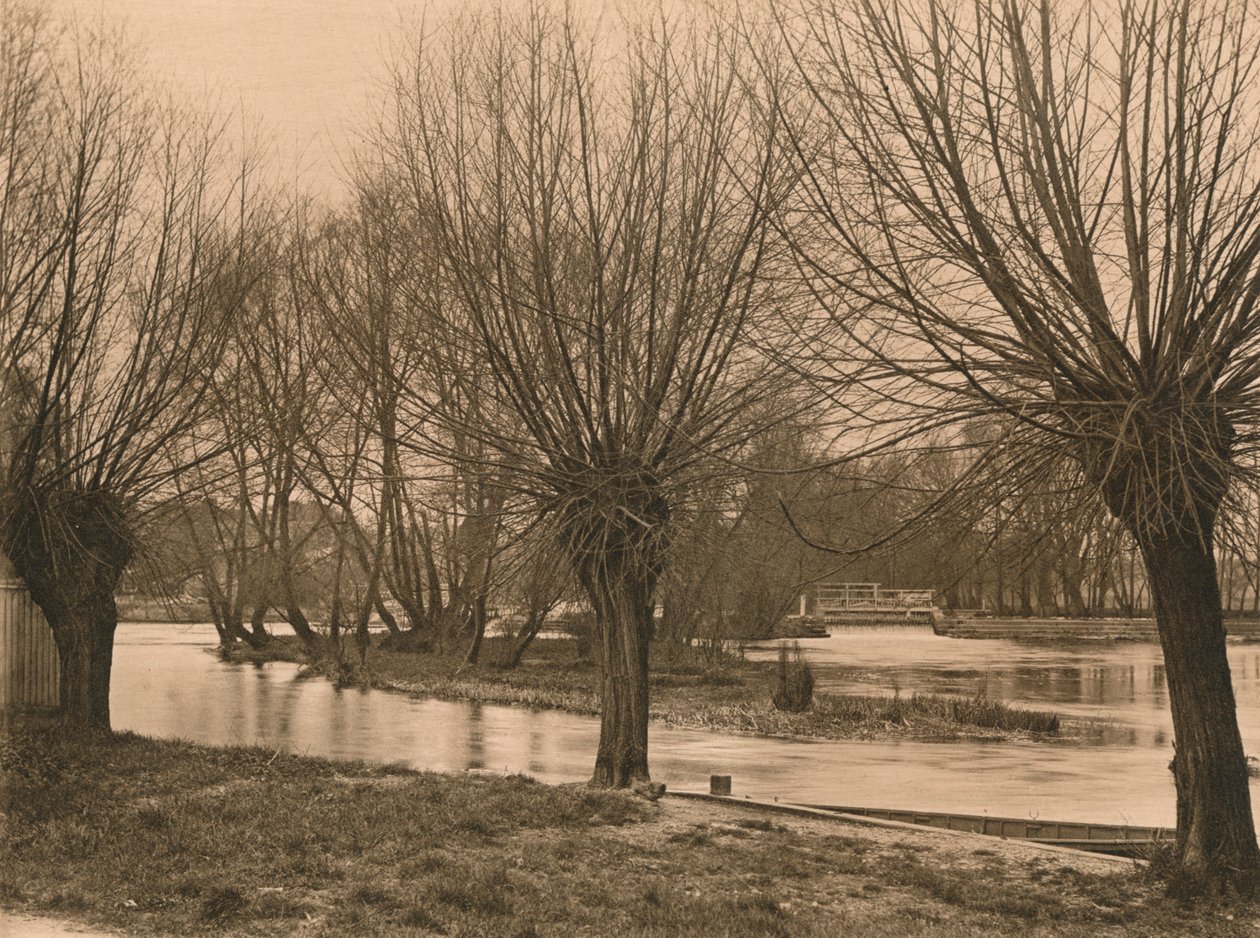 Pangbourne Weir door Unbekannt