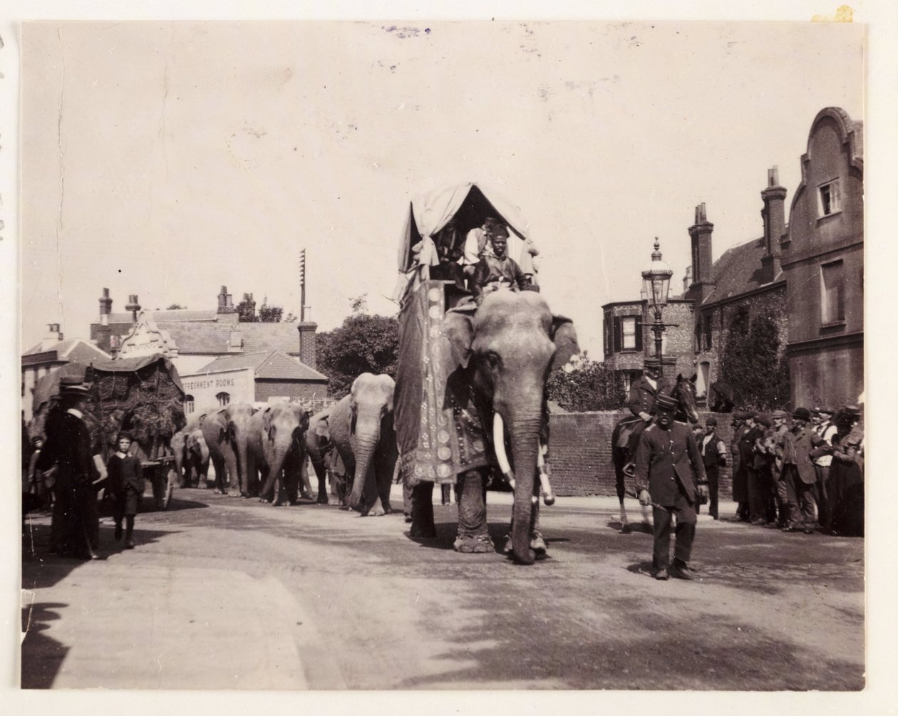 Parade van olifanten, ca. 1905 door Unbekannt