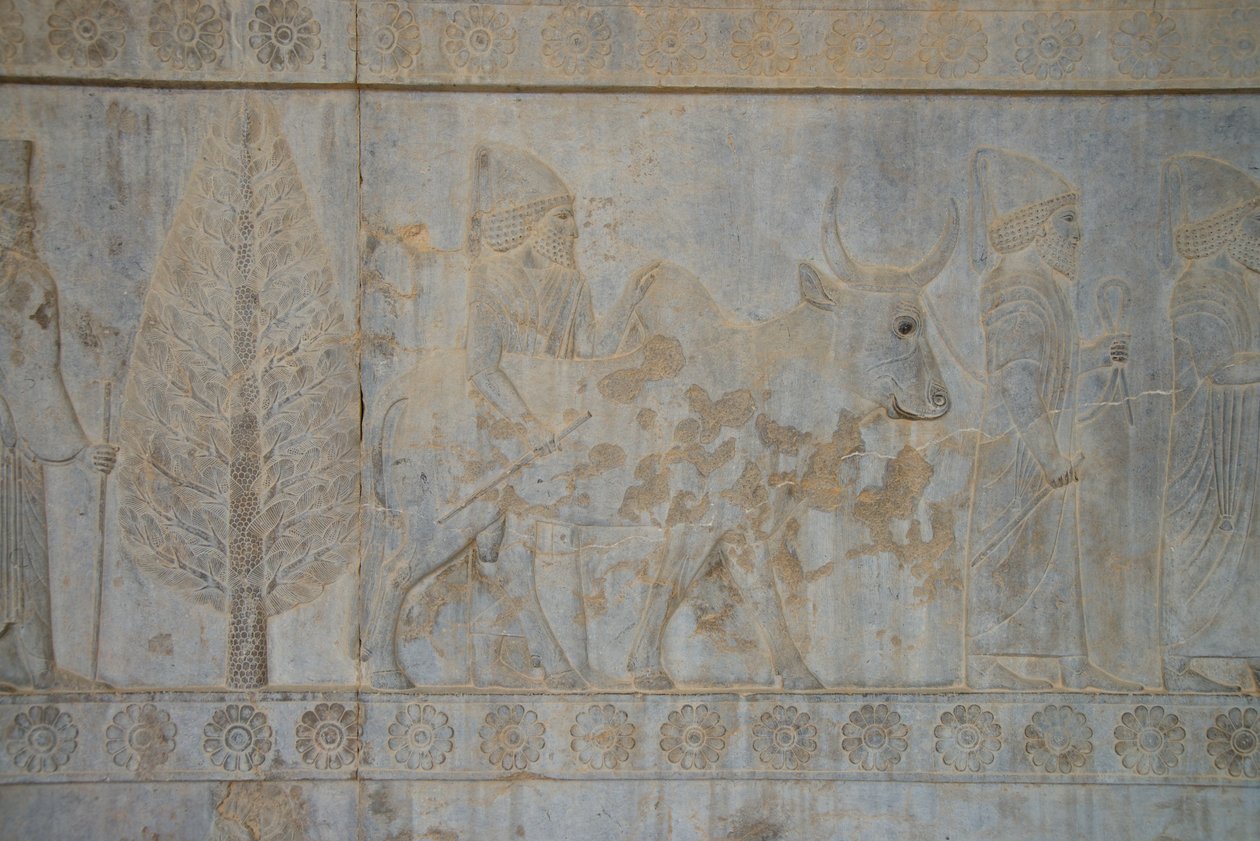 Persepolis, Iran door Unbekannt