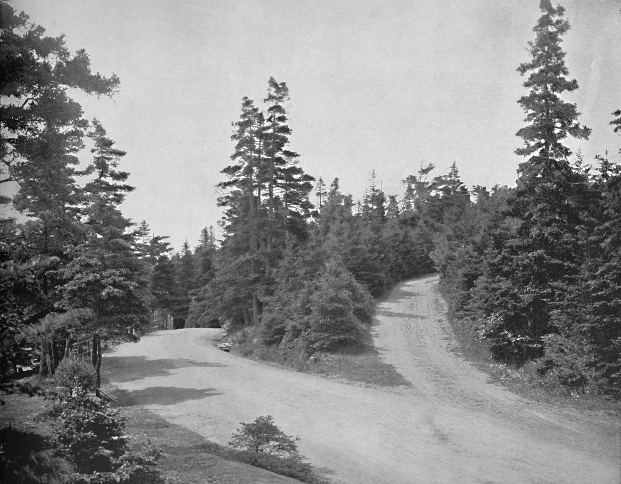 Point Pleasant Park, Halifax, Nova Scotia, ca. 1897 door Unbekannt