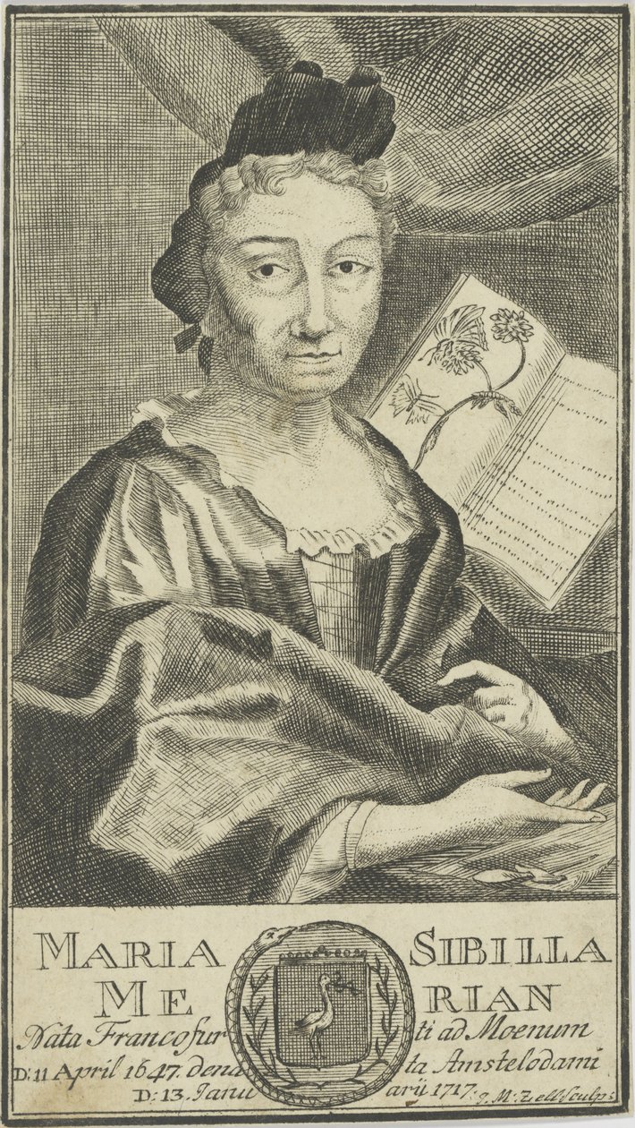 Portret van Maria Sibylla Merian 1647-1717, 1755 door Unbekannt