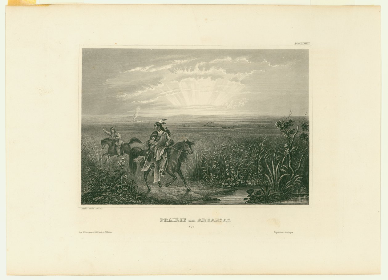 Prairie in Arkansas door Unbekannt