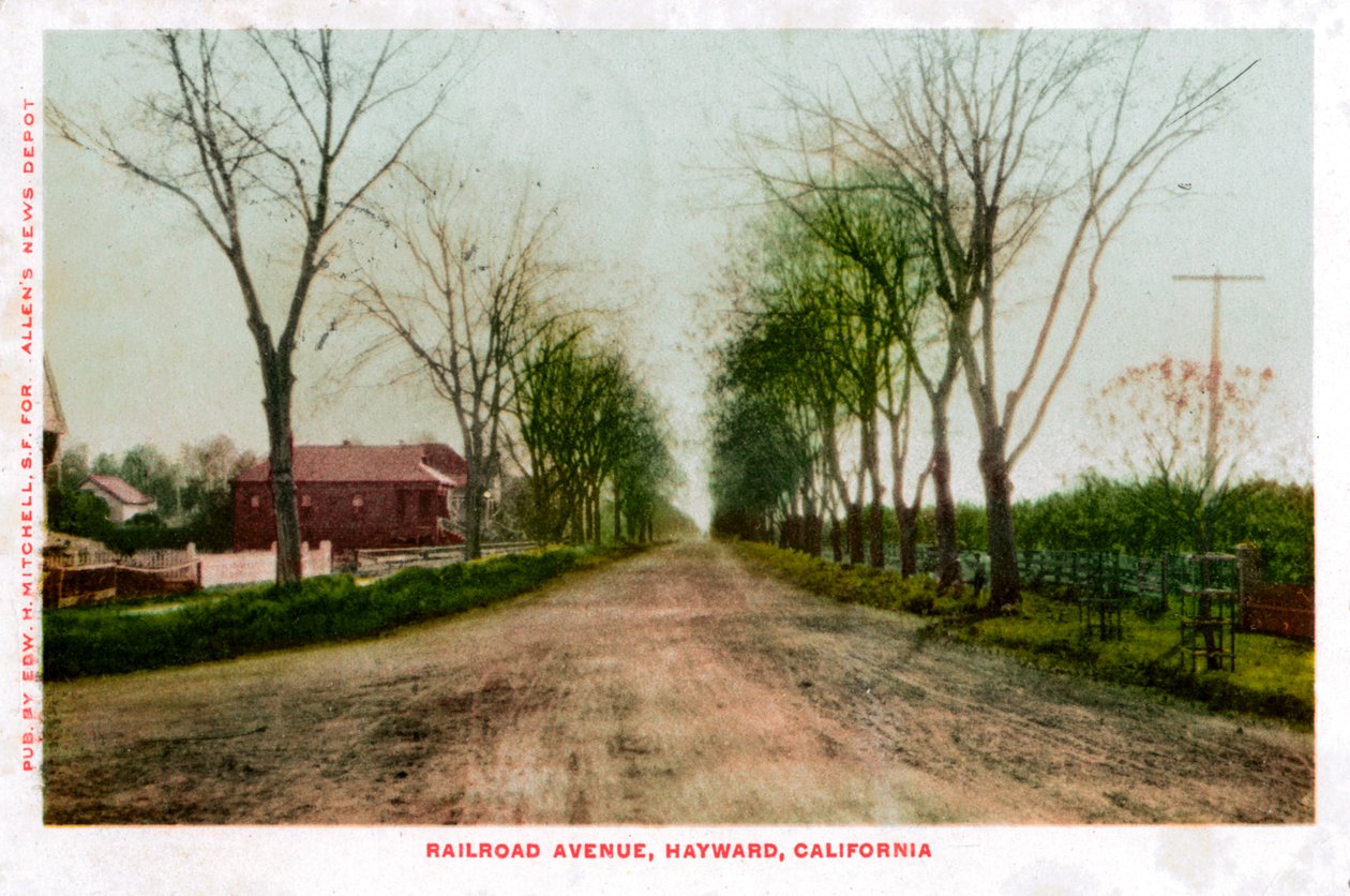 Railroad Avenue, Hayward, Californië, 1905 door Unbekannt