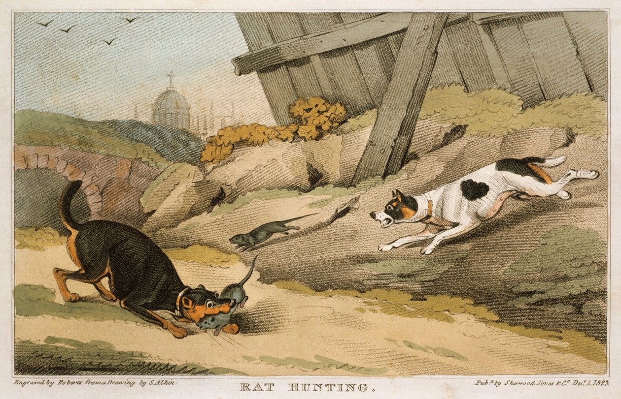 Rattenjacht, 1823 door Unbekannt